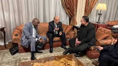 عصمت: الكهرباء والطاقة المتجددة شريك فعال في التنمية المستدامةبأفريقيا