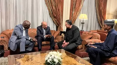 وزير الكهرباء يبحث مع نظيره التشادي تعزيز التعاون في الطاقة