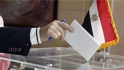 هل تؤجل الطعون الانتخابات.. الهيئة الوطنية توضح الحقيقة