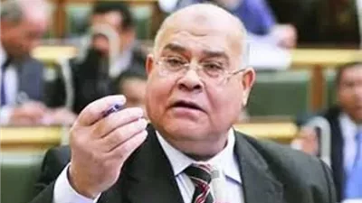 رئيس حزب الجيل: الرئيس وضع الكرة في ملعب الهيئة