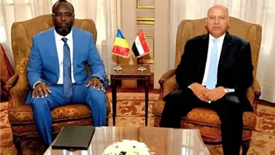 توسيع التعاون المصري–التشادي في النقل والصناعة والمنتجات الحيوانية