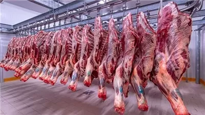 ننتج 40 % فقط.. شعبة القصابين تكشف سبب ارتفاع أسعار اللحوم
