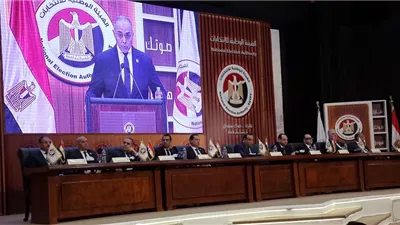 الهيئة الوطنية: إعادة انتخابات دائرة أبو قرقاص بين 4 مرشحين