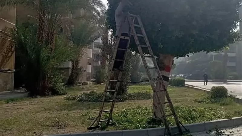 المهندس تامر جبر