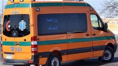 مصرع 3 شباب فى تصادم مروع بالشرقية