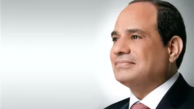 الرئيس السيسى: حل الدولتين السبيل الوحيد لتحقيق السلام الدائم
