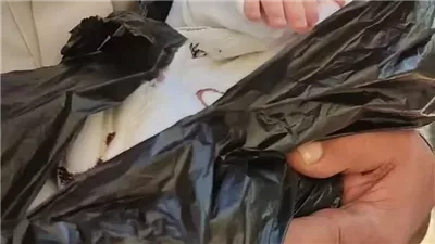 أم بلا قلب تلقى بمولودتها بأكوام القمامة لإخفاء جريمتها