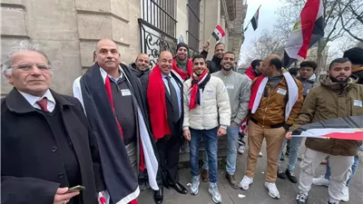 أبناء الجالية يواصلون التوافد على سفارتى مصر بألمانيا وفرنسا للمشاركة بانتخابات النواب