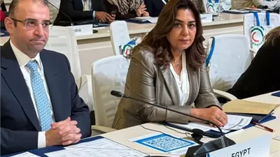 بـ ٦١ مليون دولار.. منظمة اليونيدو تقوم بتنفيذ ٢١ مشروعا حالياً في مصر