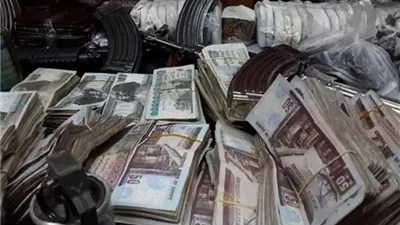 القبض على مستريحة الغربية.. استولت على 40 مليون جنيه