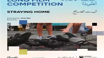 مهرجان الفيوم يعلن أفلام ومسابقات دورته الثانية