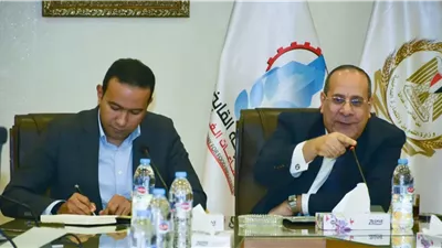 القابضة للصناعات الغذائية تبحث مع اتصالات مصردعم مشروع