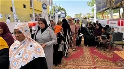 مراسل القاهرة الإخبارية: إشادة دولية بنزاهة العملية الانتخابية