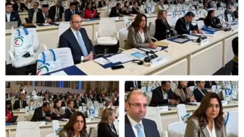 وزيرة التنمية المحلية