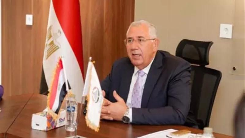 السيد القصير