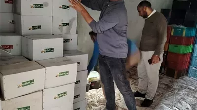 محافظ أسيوط: ضبط لحوم غير صالحة وتحرير 212 محضرًا