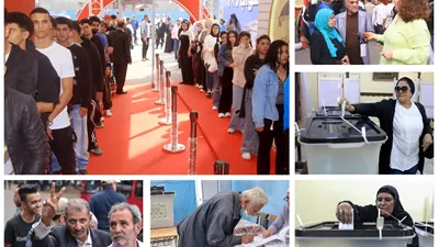 ملحمة.. أمام لجان القاهرة