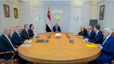 الرئيس السيسي يستقبل الرئيس التنفيذي لشركة 