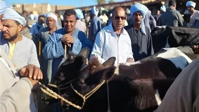 تحصين 19892 رأس حيوان ضد الامراض الوبائية وعقد 25 ندوة توعوية