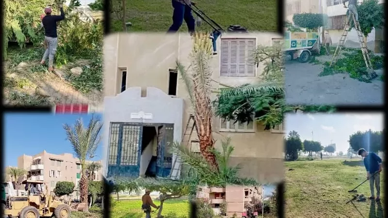 المهندس تامر جبر
