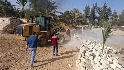 الإسماعيلية.. إزالة 22 تعديا على الأراضي الزراعية في القصاصين