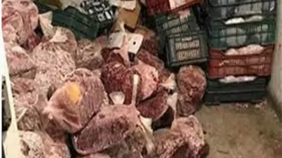 ضبط 6 طن و700 كجم دواجن مجهولة المصدر، ومنتهية الصلاحية بالشرقية