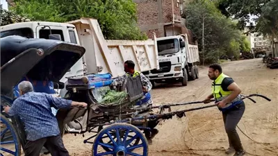 التحفظ على عربات الحنطور المخالفة فى مدينة الأقصر