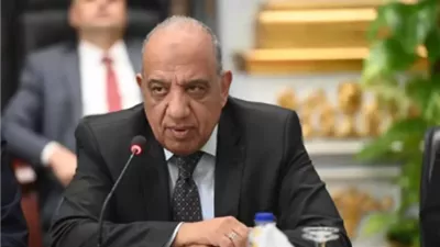عصمت: تحركات لزيادة قيمة الخامات الأرضية وتحقيق أقصى استفادة منها