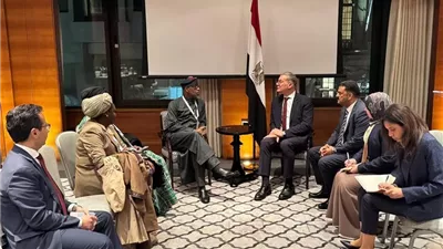 وزير البترول يبحث الشراكة وتبادل الخبرات مع نيجيريا في التعدين