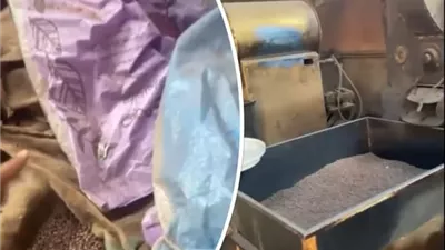 صحة القليوبية تضبط 5 أطنان بن مغشوش في مطحن غير مرخص بالخانكة