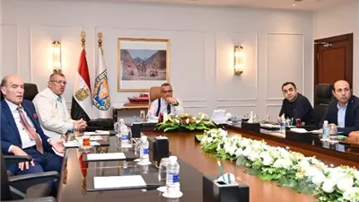 محافظ جنوب سيناء يبحث مع الشركة الوطنية لخدمات الاتصالات تعزيز التعاون