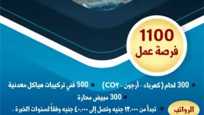 العمل تعلن عن وظائف جديدة بمشروع الضبعة النووي براتب يصل 40 ألف جنيه