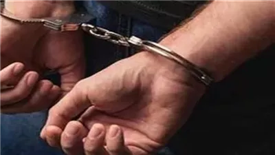 القليوبية.. ضبط عاطلين سرقا المواطنين بالإكراه