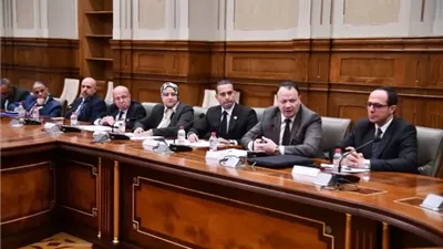 مجلس الشيوخ تقر تعديل المادة 70 لمكافحة التلاعب بالكهرباء