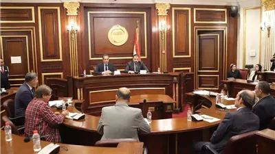 المسلماني يعرض 33 خطوة في مجلس الشيوخ