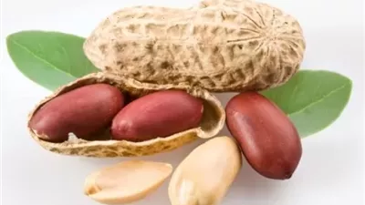 فوائد غير متوقعة للفول السوداني لكبار السن