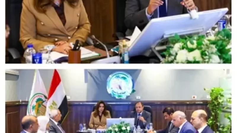 إطلاق الموقع الإلكتروني