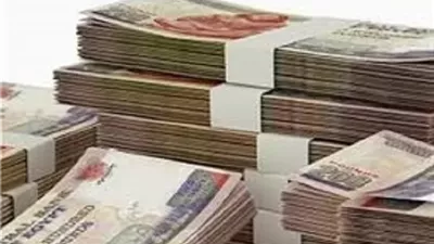 3 مليارات و592 مليونا و519 الف جنيه قروض من مشروعك لشباب الشرقية