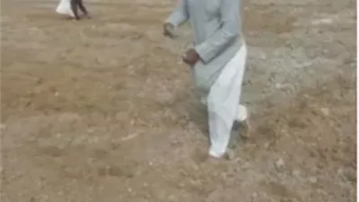 60 حقل ارشادى لزراعة القمح بالاسكندرية