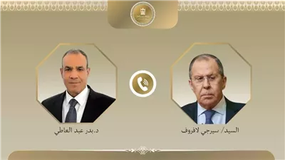 وزير الخارجية ونظيره الروسي يبحثان تعزيز التعاون المشترك