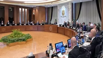 مجلس الوزراء يعتمد إنشاء كلية الهندسة بجامعة مدينة السادات