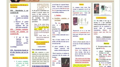 روشتة التفوق في الأحياء لغات للثانوية العامة 2026