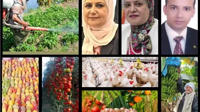 خبراء وأساتذة الزراعة لـ 