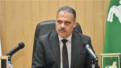 تنفيذ 738 مشروع بـ 69 مليون و900 ألف جنيه وإتاحة 2296 فرصة عمل للشباب