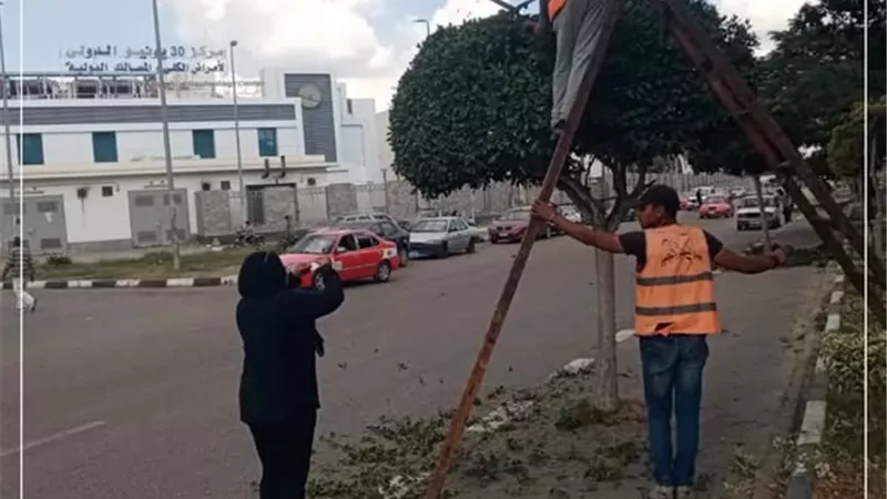 بوابة الجمهورية