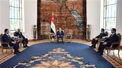 الرئيس السيسى يؤكد ضرورة التصدي للتدخلات الخارجية والعمل على إخراج المرتزقة من ليبيا