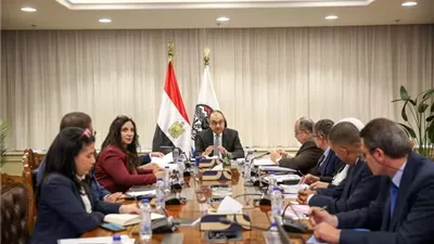 وزير قطاع الأعمال يبحث ملفات مركز المعلومات ويؤكد الحوكمة الرقمية