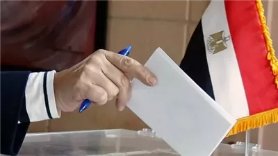 المصريون في الخارج يتوافدون للإدلاء بأصواتهم في الدوائر الملغاة