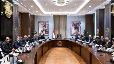 مدبولي: نعمل على تطوير المناطق المحيطة بالأهرامات والمتحف الكبير