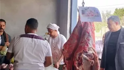 290 جنيهًا لكيلو اللحوم البلدية.. بأسيوط